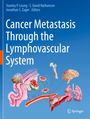 : Cancer Metastasis Through the Lymphovascular System, Buch