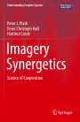 Peter J. Plath: Imagery Synergetics, Buch