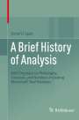 Detlef D. Spalt: A Brief History of Analysis, Buch