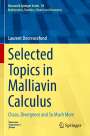 Laurent Decreusefond: Selected Topics in Malliavin Calculus, Buch