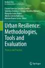 : Urban Resilience: Methodologies, Tools and Evaluation, Buch