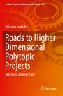 Octavian Iordache: Roads to Higher Dimensional Polytopic Projects, Buch