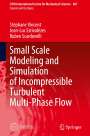 Stéphane Vincent: Small Scale Modeling and Simulation of Incompressible Turbulent Multi-Phase Flow, Buch