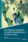 : The Palgrave Handbook of Global Rehabilitation in Criminal Justice, Buch