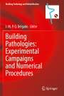 : Building Pathologies: Experimental Campaigns and Numerical Procedures, Buch