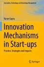 Varun Gupta: Innovation Mechanisms in Start-ups, Buch