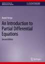 Daniel Arrigo: An Introduction to Partial Differential Equations, Buch