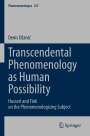 Denis D¿ani¿: Transcendental Phenomenology as Human Possibility, Buch