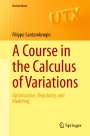 Filippo Santambrogio: A Course in the Calculus of Variations, Buch
