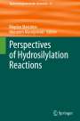 : Perspectives of Hydrosilylation Reactions, Buch