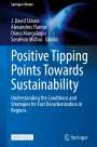 : Positive Tipping Points Towards Sustainability, Buch