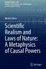 Michel Ghins: Scientific Realism and Laws of Nature: A Metaphysics of Causal Powers, Buch