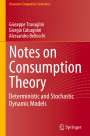 Giuseppe Travaglini: Notes on Consumption Theory, Buch