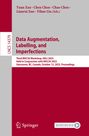 : Data Augmentation, Labelling, and Imperfections, Buch