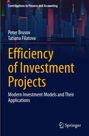Peter Brusov: Efficiency of Investment Projects, Buch