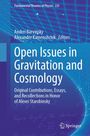 "Open Issues in Gravitation and Cosmology" oben Netz und unten Formeln, Springer-Logo.