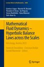 Buchcover: "Mathematical Fluid Dynamics – Hyperbolic Balance Laws across the Scales". Springer-Logo unten rechts.