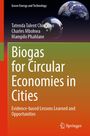 Text: „Biogas for Circular Economies in Cities“ von Tatenda Talent Chingono u.a., Springer Verlag. Hintergrund: Erdkugeln.
