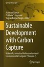 „Sustainable Development with Carbon Capture“ von Ashwani Kumar und anderen. Springer-Logo, brauner Hintergrund mit Weltkarte.