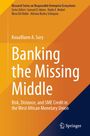 Titel: "Banking the Missing Middle". Autor: Kouafilann Abdoulaye Sory. Orange-gelbes Design mit Springer-Logo.