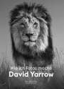 David Yarrow: Wie ich Fotos mache, Buch