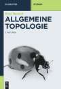 René Bartsch: Allgemeine Topologie, Buch