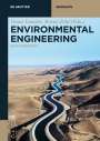: Environmental Engineering, Buch