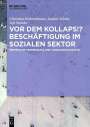 Christian Hohendanner: Beschäftigung im Sozialen Sektor, Buch