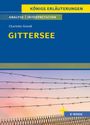 "KÖNIGS ERLÄUTERUNGEN: GITTERSEE von Charlotte Gneuß. Oben Stacheldraht, unten ein Zaun vor sanftem Himmel."