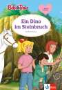 : Bibi & Tina: Ein Dino im Steinbruch, Buch