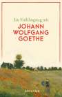 : Ein Frühlingstag mit Johann Wolfgang Goethe, Buch