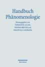 : Handbuch Phänomenologie, Buch