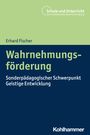 Erhard Fischer: Wahrnehmungsförderung, Buch