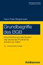 Harm Peter Westermann: Grundbegriffe des BGB, Buch
