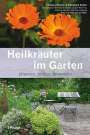 Thomas Pfister: Heilkräuter im Garten, Buch