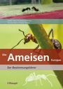„Die Ameisen Europas. Der Bestimmungsführer.“ Zwei Ameisen auf einem Pflanzenstängel, Logo unten links.