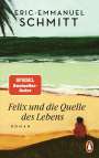Eric-Emmanuel Schmitt: Felix und die Quelle des Lebens, Buch