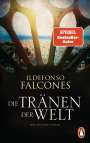 Ildefonso Falcones: Die Tränen der Welt, Buch