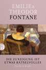Theodor Fontane: Die Zuneigung ist etwas Rätselvolles, Buch
