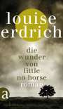 Louise Erdrich: Die Wunder von Little No Horse, Buch