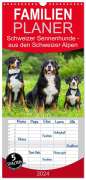 Sigrid Starick: Familienplaner 2024 - Schweizer Sennenhunde - aus den Schweizer Alpen mit 5 Spalten (Wandkalender, 21 x 45 cm) CALVENDO, KAL