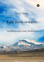 „Udo J. Lange. Eine Seele erwacht. Autobiographie eines Suchenden.“ Schneebedeckte Berge, blauer Himmel.