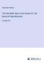 Frank Gee Patchin: The Pony Rider Boys in the Ozarks; Or, The Secret of Ruby Mountain, Buch