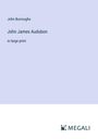 John Burroughs: John James Audubon, Buch
