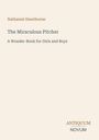 "Nathaniel Hawthorne: The Miraculous Pitcher. A Wonder-Book for Girls and Boys." Unten rechts "ANTIQUM NOVUM" als Logo.