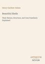 Titel: "Beautiful Shells" von Henry Gardiner Adams. Logo unten: ANTIQUUM NOVUM. Hintergrund beige.