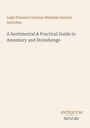 Titel: A Sentimental & Practical Guide to Amesbury and Stonehenge. Autorin: Lady Florence Caroline Mathilde Sartoris Antrobus. Unten: ANTIQUUM NOVUM. Beige Hintergrund.