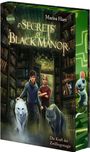 "Secrets of Black Manor", "Die Kraft der Zwilllingsmagie". Zwei Jugendliche mit Wölfen in einer magischen Bibliothek.