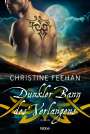 Christine Feehan: Dunkler Bann des Verlangens, Buch