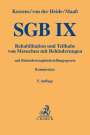 : Sgb Ix, Buch